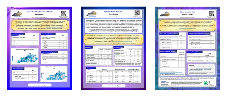 Images of the 3 issues with Military-related data